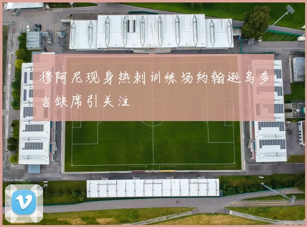 穆阿尼现身热刺训练场约翰逊乌多吉缺席引关注