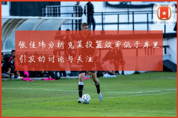 张佳玮分析克莱投篮效率低于库里引发的讨论与关注