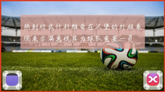 热刺对武什科维奇在汉堡的外租表现表示满意视其为球队重要一员