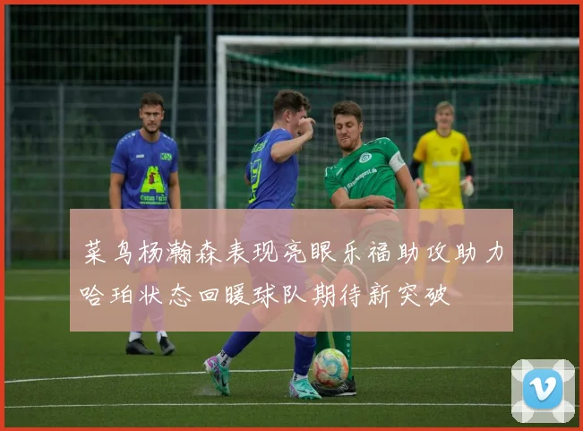 菜鸟杨瀚森表现亮眼乐福助攻助力哈珀状态回暖球队期待新突破