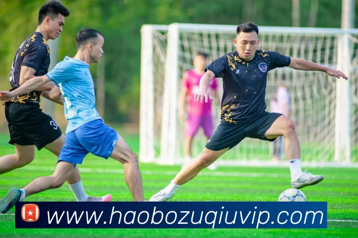 好博体育平台生态图