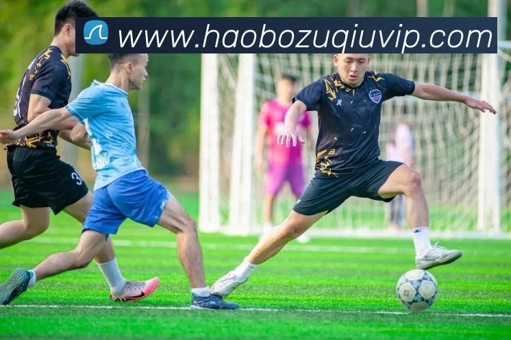 好博体育APP 封面图